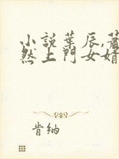 小说叶辰,萧初然上门女婿
