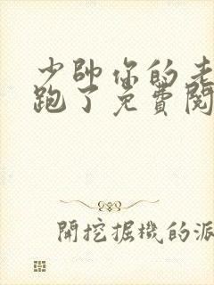 少帅你的老婆又跑了免费阅读