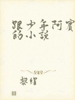 跟少年阿宾一样的小说