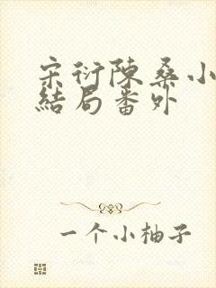 宋衍陈桑小说大结局番外