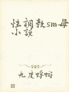 性调教sm母狗小说封面