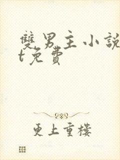 双男主小说txt免费