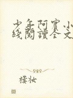 少年阿宾小说在线阅读全文无删减