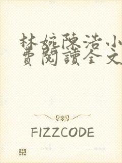 林婉陈浩小说免费阅读全文最新章节封面