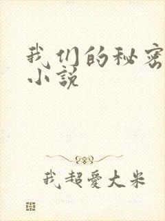 我们的秘密泰剧小说