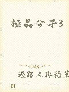 极品公子3