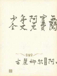 少年阿宾无删减全文免费阅读
