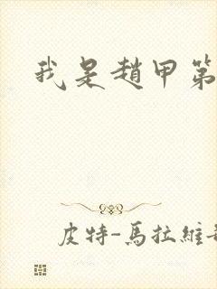 我是赵甲第小说