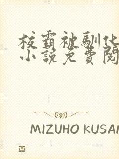 校霸被驯化成狗小说免费阅读