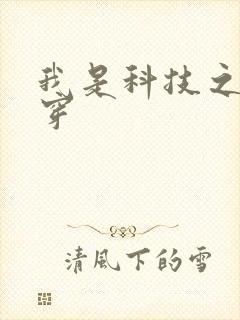 我是科技之光快穿封面