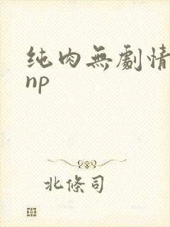纯肉无剧情高hnp