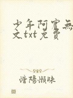 少年阿宾无删全文txt免费