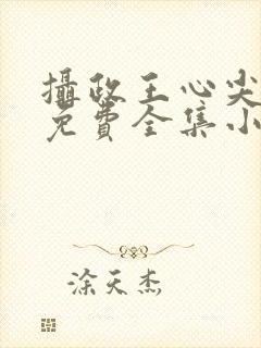 摄政王心尖宠妃免费全集小说