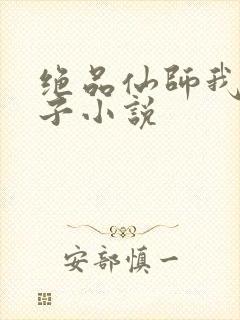 绝品仙师我的妻子小说