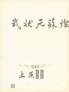 武状元苏灿