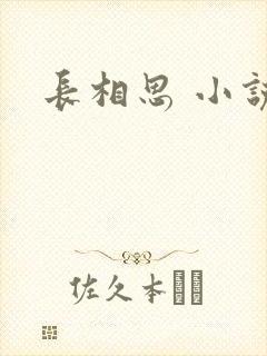 长相思 小说
