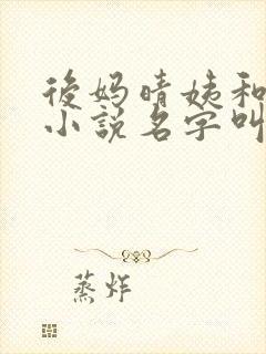 后妈晴姨和李晨小说名字叫什么