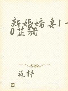 新婚娇妻1一40芷珊