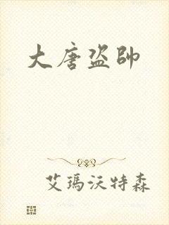 大唐盗帅