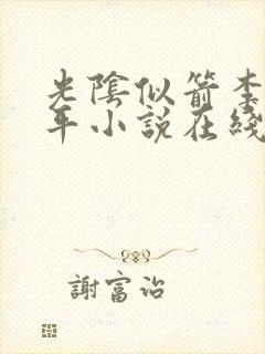 光阴似箭李艳傅平小说在线阅读