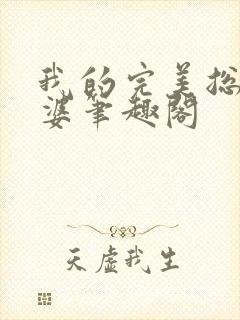 我的完美总裁老婆笔趣阁封面