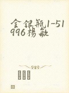 金银瓶1-51996杨敏封面