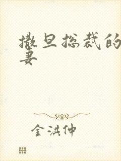 撒旦总裁的下堂妻封面