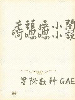老头操小闺女啊啊嗯嗯小说