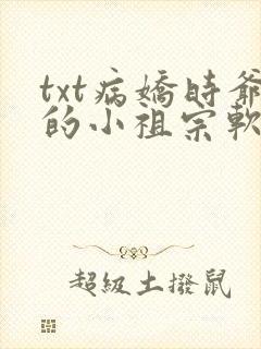 txt病娇时爷的小祖宗软甜又凶封面