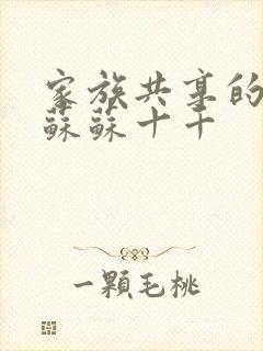 家族共享的养女苏苏十千