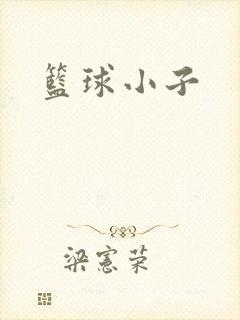 篮球小子