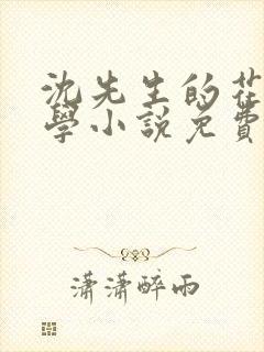 沈先生的花式教学小说免费