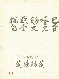 总裁的哑巴小奶包全文免费阅读 小说封面