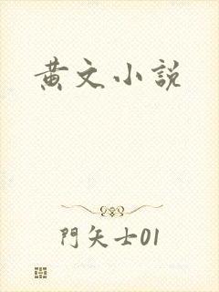 黄文小说封面
