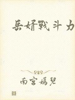 岳婿战斗力