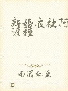 新婚夜被阿龟强灌种封面