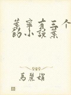 叶宁有三个师傅的小说叶封面