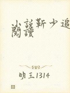 小说靳少追妻忙阅读