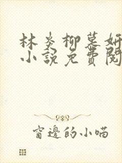 林炎柳慕妍全集小说免费阅读