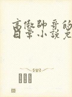 高傲帅哥的堕落日常小说免费阅读