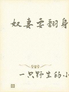 奴妻要翻身封面