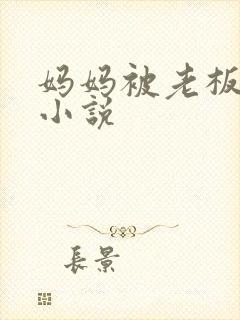 妈妈被老板调教小说