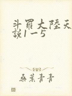 斗罗大陆天狂传说1一5