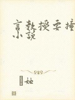 言教授要撞坏了小说