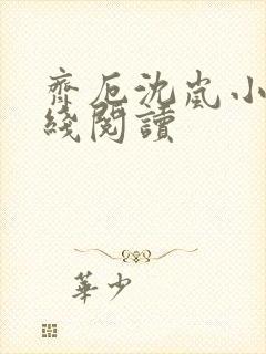齐厄沈岚小说在线阅读