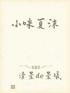 小咪夏沫封面