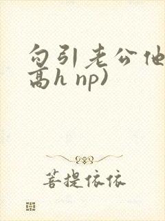 勾引老公他哥(高h np)封面