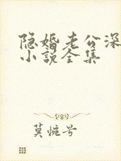 隐婚老公深夜来小说全集