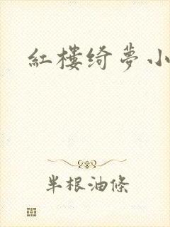 红楼绮梦小说