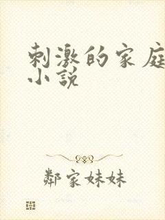刺激的家庭乱仑小说